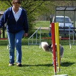 trainer3